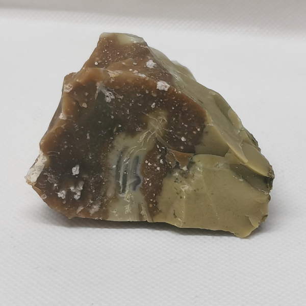 Opalisiertes Versteinertes Holz